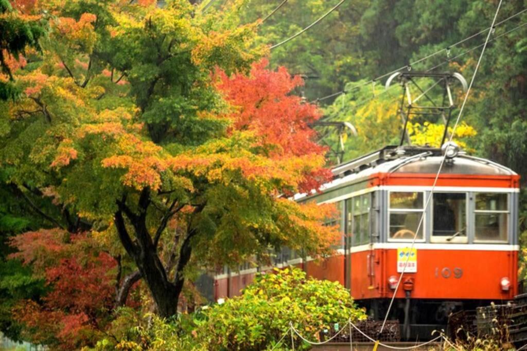 Goura Terrace Villa Hakone